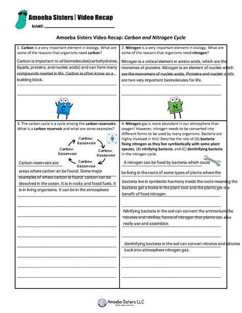 amoeba sisters carbon and nitrogen cycle worksheet answer key pdf